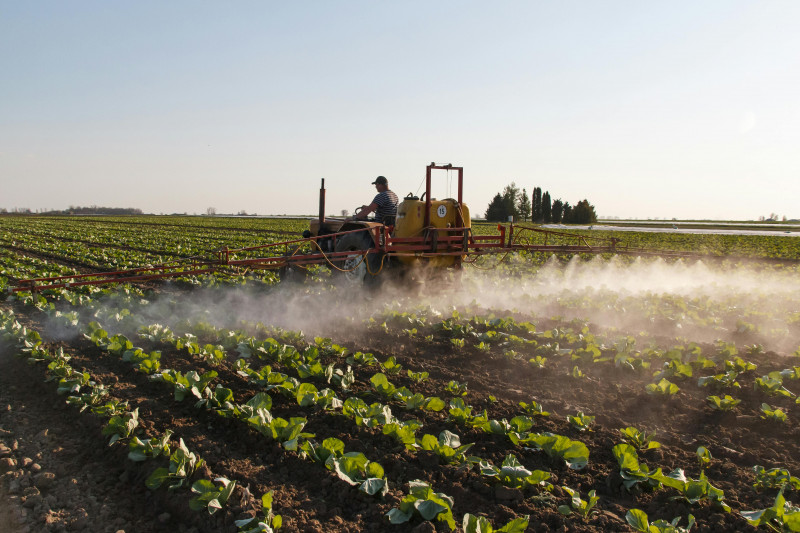 Pesticides : un an après l'adoption d'Ecophyto 2030, le gouvernement présente son bilan